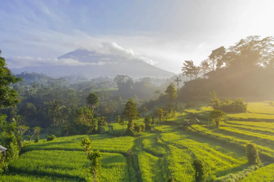 Bali, l’île des atmosphères essentielles