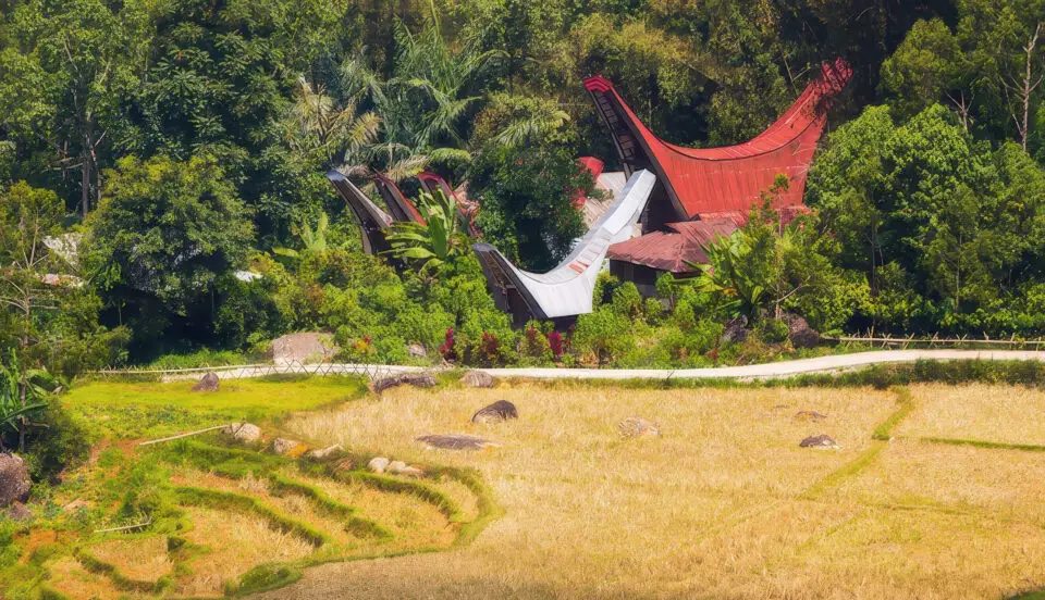 Sulawesi, l&rsquo;île aux multiples visages