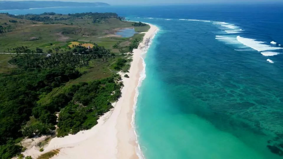 Vue drone sur une longue plage de sable blanc immaculée bordée de végétation tropicale sur la côte de Sumba Indonésie, littoral sauvage et préservé