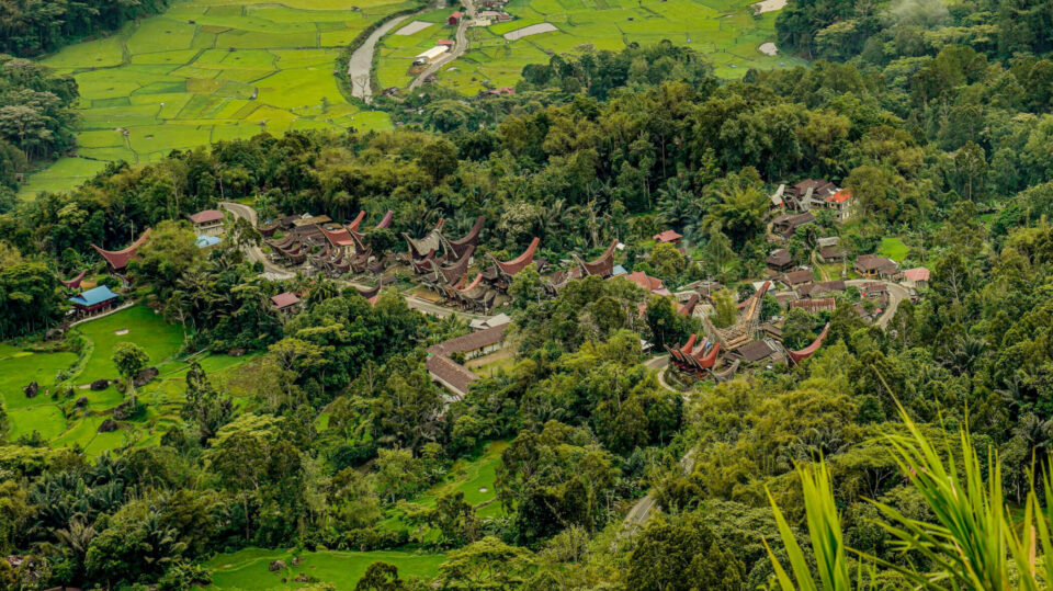 Vue plongeante sur un village de maisons tongkonan aux toits en proue au milieu des rizières vertes – voyage Sulawesi