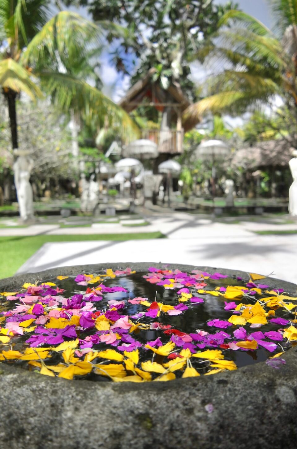 fleurs-indonesie