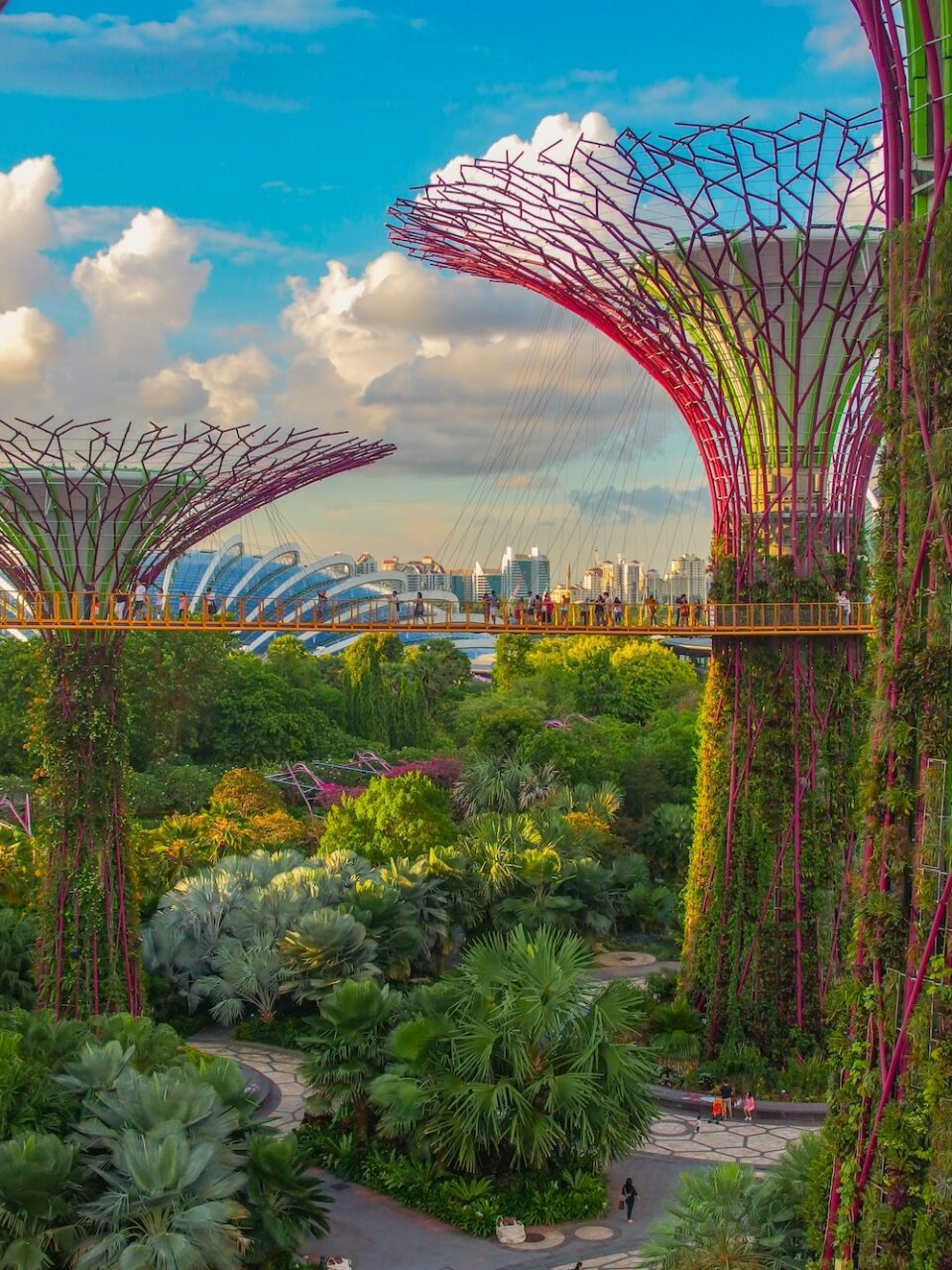 singapour-cite-jardin